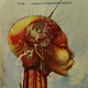 Illustration for article titled 20 Essential Books About the Next Step in Human Evolution